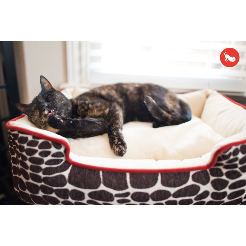 P.L.A.Y. Original Kalahari Lounge Pet Bed & Reviews Wayfair